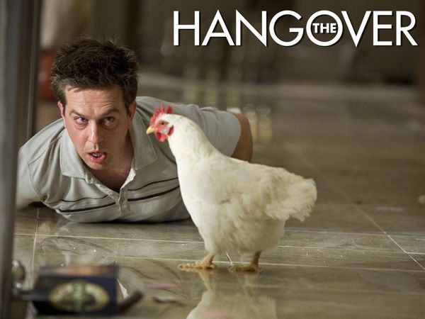 Ed Helms The Hangover movie image.jpg